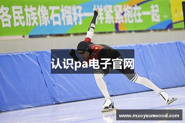 认识pa电子官网